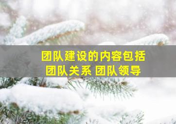 团队建设的内容包括团队关系 团队领导